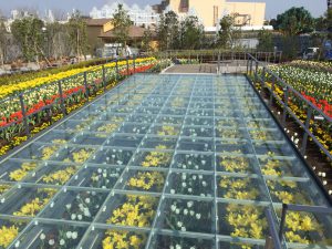 ガラス床 ラグーナテンボス 株式会社デバイス ガラス床 ラグーナテンボス 株式会社デバイス